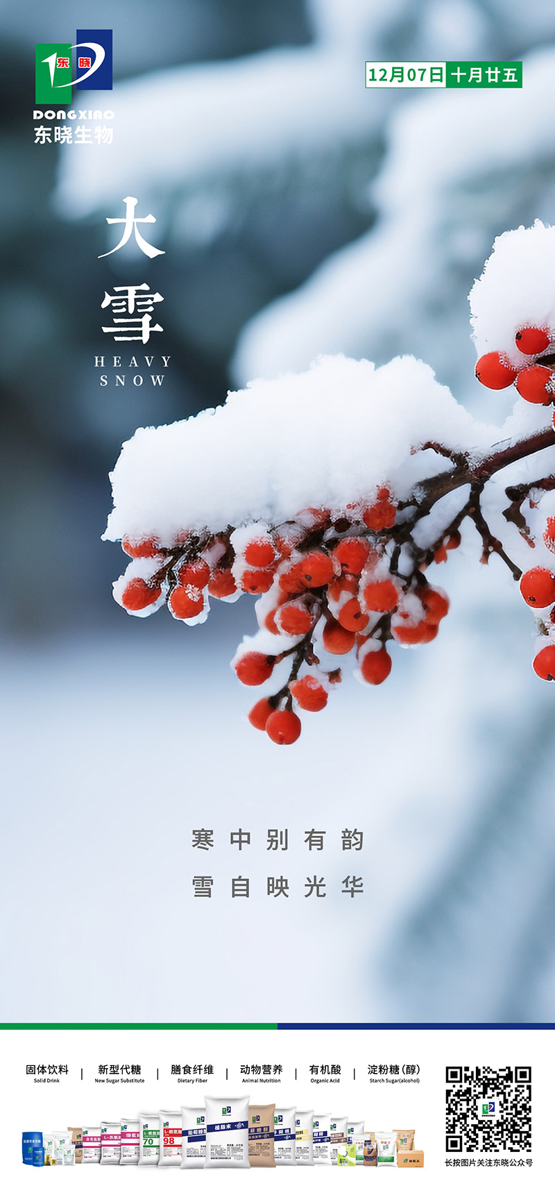 今日大雪 | 寒中别有韵，雪自映光华(图2)