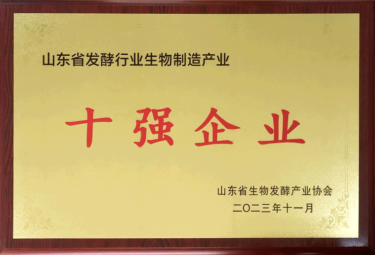 喜报！ng28南宫生物荣获山东省发酵行业生物制造产业“十强企业”等多项荣誉 (图2)