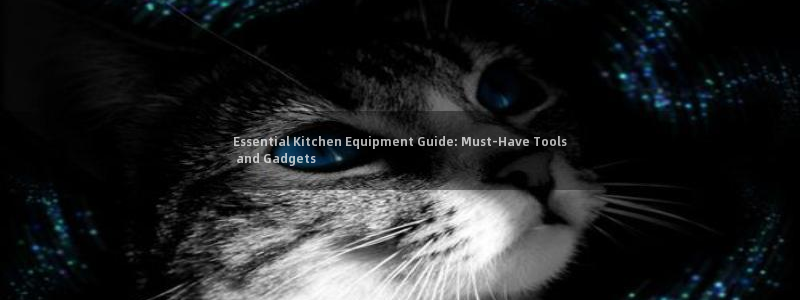 凯时官网联系方式：Essential Kitchen Equ