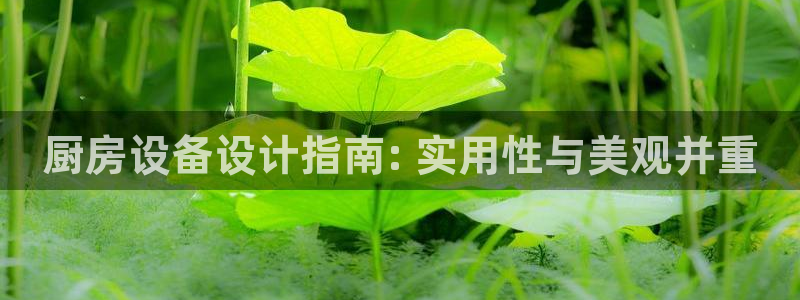 d88尊龙手机登录下载：厨房设备设计指南: 实用性与美观并重