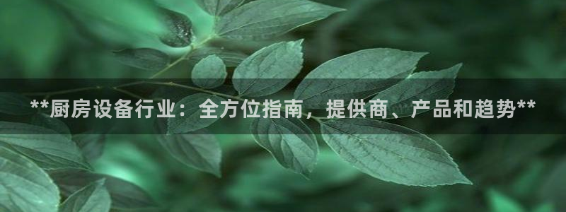 **厨房设备行业：全方位指南，提供商、产品和趋势**