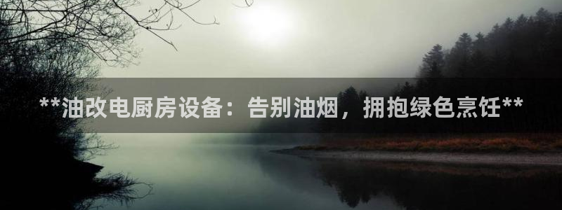 尊龙凯时ag旗舰：**油改电厨房设备：告别油烟，拥抱绿色烹饪