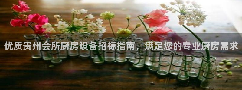 尊龙凯时代理佣金发不发：优质贵州会所厨房设备招标指南，满足您