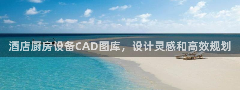 酒店厨房设备CAD图库，设计灵感和高效规划