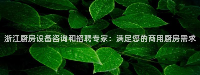 尊龙ag旗舰官网：浙江厨房设备咨询和招聘专家：满足您的商用厨