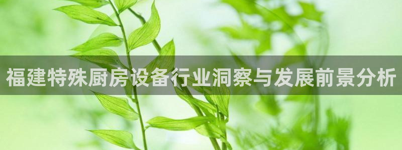 尊龙凯时请求参数不符合：福建特殊厨房设备行业洞察与发展前景分