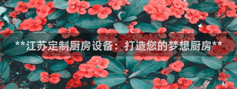 尊龙凯时开发：**江苏定制厨房设备：打造您的梦想厨房**